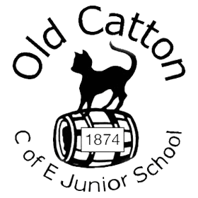 Old Catton Junior